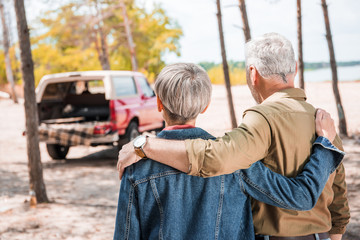 back view of senior couple embracing in forest in sunny day