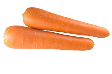 Two fresh orange carrots isolated on white background in strange appearance
