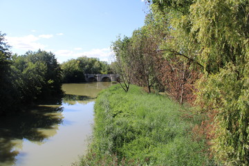 rivera del Río Carrión a su paso por Palencia
