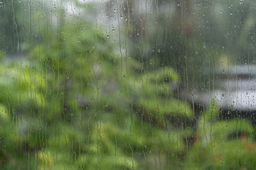 Raindrop on window with blur green tree background