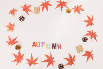 Autumn creative composition. Maple leaves, cones, adorable gift box and mock up wooden black frame on white background