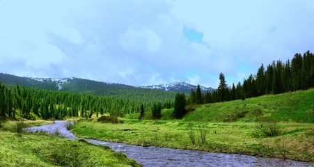 A River Landscape Nature Mountains Forest Trees Mountains Trip Green Meadow Grass Summer