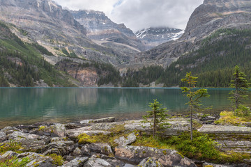 Lake O'Hara in Yoho National Park