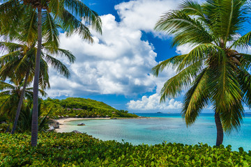 Sandy tropical beach,  Virgin Gorda, British Virgin Islands.