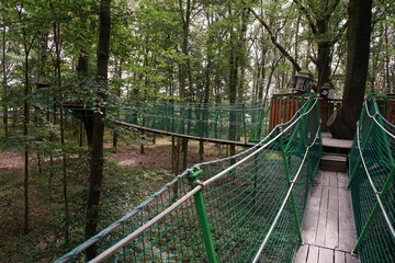 Most wiszący między drzewami w parku