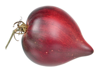 Dark red ripe anthocyanin tomato isolated on white background