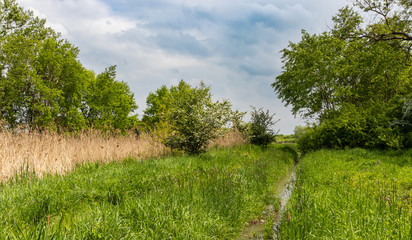 Nature Reserve, Krakow - Podgorze, Poland