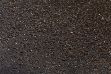 puddle with raindrops,removed during the summer rain in the afternoon