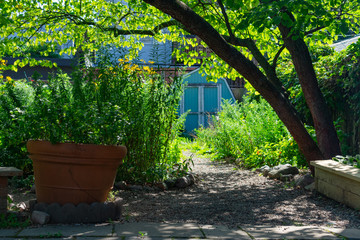 Community Garden in Logan Square Chicago with Plants and Shade