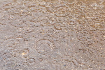 puddle with raindrops,removed during the summer rain in the afternoon