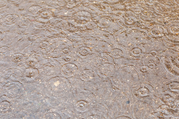 puddle with raindrops,removed during the summer rain in the afternoon