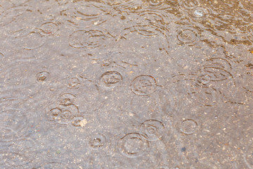 puddle with raindrops,removed during the summer rain in the afternoon