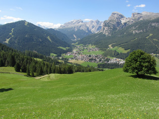 Fototapeta na wymiar Alpine landscape with La Villa village, green pastures and firs against italian Dolomites at summer . La Villa, Bolzano, Alto Adige, South Tyrol, Italy