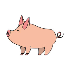 cute animal pig farm cartoon