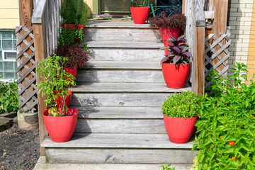 Staircase lined with Potted Plants at an Entrance to a Home