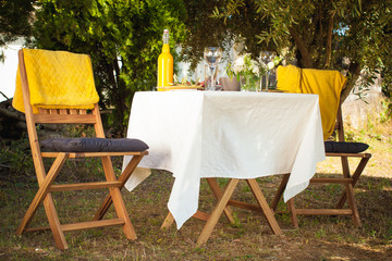rendezvous in the city park under the olive trees