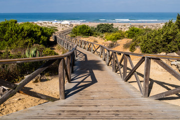 Fototapeta premium Sand dunes on the beach of La Barrosa in Sancti Petri, Cadiz, Spain