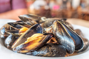 A dish of steaming fresh mussels in a restaurant