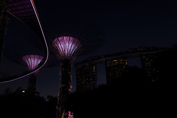 Singapur-gardens by the bay