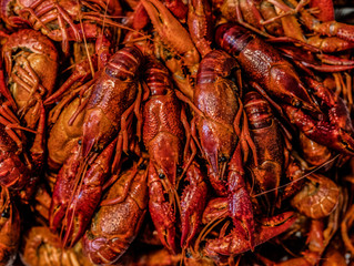Boiled crawfish, Cancers to beer, dill, beer snacks,Beer with crayfish,Fish crabs beer