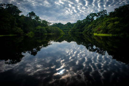 Trombeta's River - Amazon, Brazil