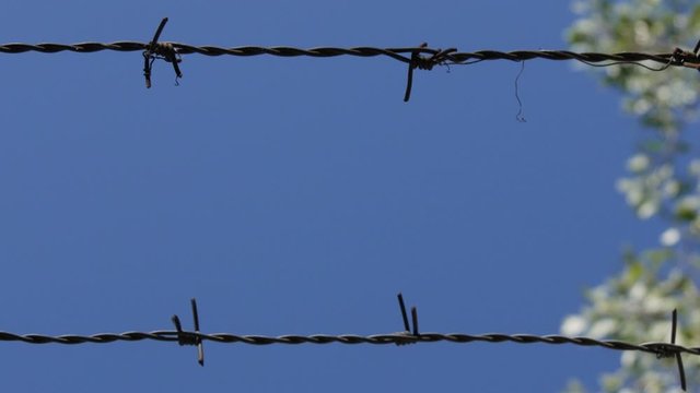 Image with a Wall Protected with Barbed Wire in a Security Perimeter