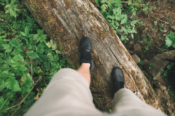 Tourist's legs in sneakers stands on a log in the forest, wears shorts. Background. Hiker legs...