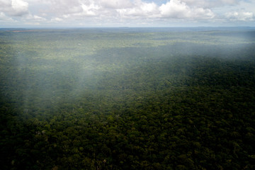 Amazon Rainforest - Brazil