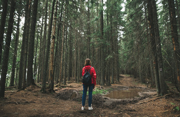Back of a girl on a hike, stands on a background of forest paths with a puddle. Hiker woman in red jacket and with backpack on trail in mountain forest. Hiking in the forest concept. Background