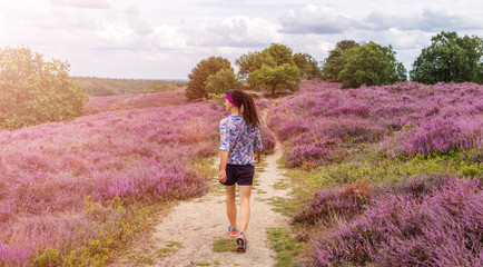 A female hiking along heather covered hills, Hoge Veluwe, Netherlands