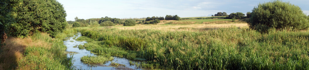River and pasture
