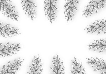 Christmas decorative design elements from silver pine and fir branches
