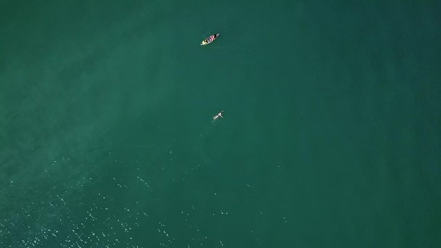 Woman swimming as kayak passes by