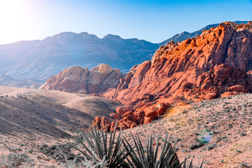 Red rock canyon sunshine - Powered by Adobe