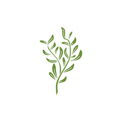 Leaf Logo Design Vectors Template Unique
