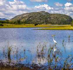 lake in the mountains