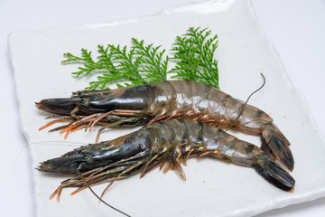 有頭のブラックタイガー