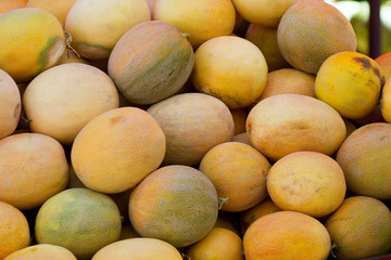 Yellow sweet melons on display at the farmer's market