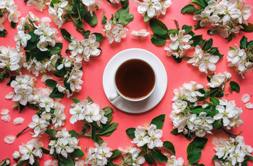 A cup of tea stands on a pink background surrounded by white flowers of an apple tree. The concept of spring tea and medicinal decoctions. Top view.