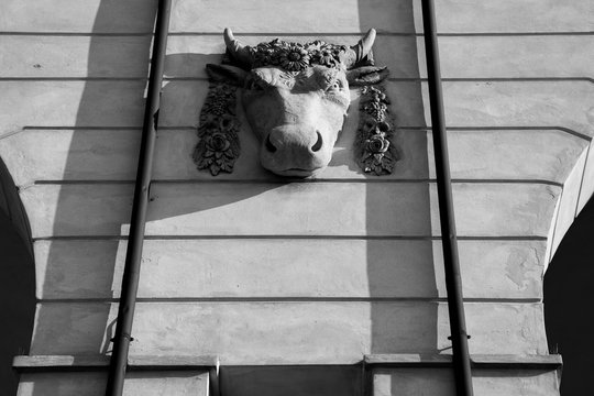 Toro economo