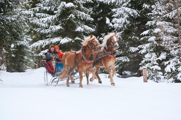 Austria, Salzburger Land, Couple riding in sleigh