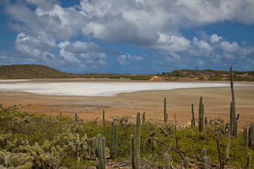 Salt Pan in Washington Slagbaai National Park, Bonaire