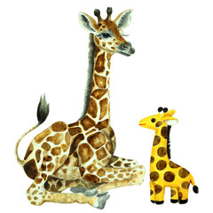 Fototapeta premium Baby giraffe and toy camelopard on a white background, hand drawn watercolor.