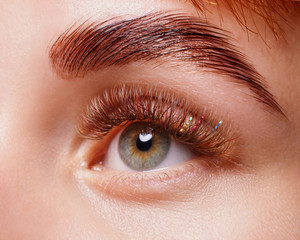 Beautiful macro photography of a woman's eye with extreme make-up of long eyelashes. Perfect long...