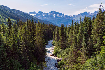 White Pass River running through the forest near Skagway Alaska with rugged snowy mountains in the background