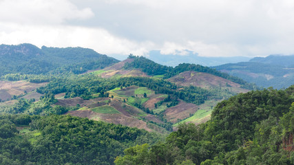 Naklejka na ściany i meble The Deforestation Problem Caused from The Expansion of Highland Farming Area by Ethnic Minority Groups in Mountainous Area of Northern Thailand.
