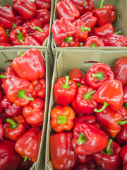 Ripe red peppers at the market. Autumn harvest concept, organic food, fruits. An abundance of fruit.