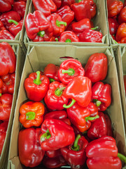 Ripe red peppers at the market. Autumn harvest concept, organic food, fruits. An abundance of fruit.