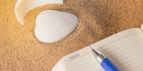 Naturalist's notebook for exploring shells of marine mollusks and ocean fauna.
