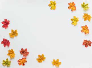 Maple leaves/leaf changing color from green to red in fall autumn seasonal over white background with copy space. flatlay